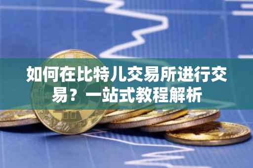 如何在比特儿交易所进行交易？一站式教程解析