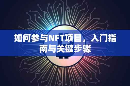 如何参与NFT项目，入门指南与关键步骤