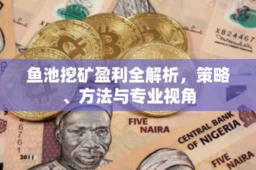 鱼池挖矿盈利全解析，策略、方法与专业视角
