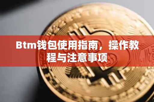 Btm钱包使用指南，操作教程与注意事项