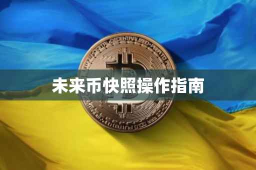 未来币快照操作指南