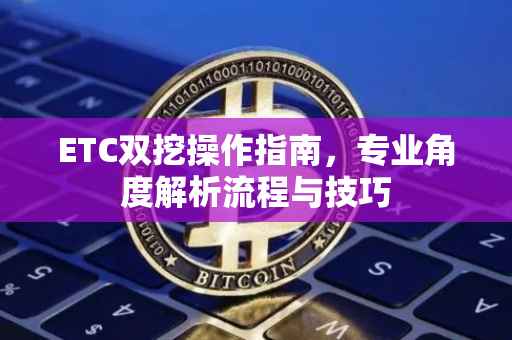 ETC双挖操作指南，专业角度解析流程与技巧