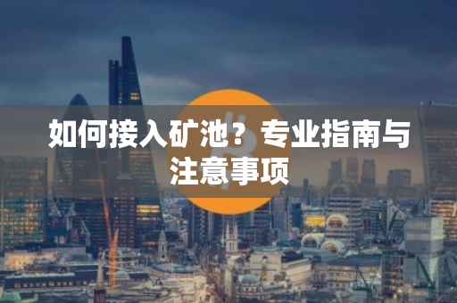 如何接入矿池？专业指南与注意事项