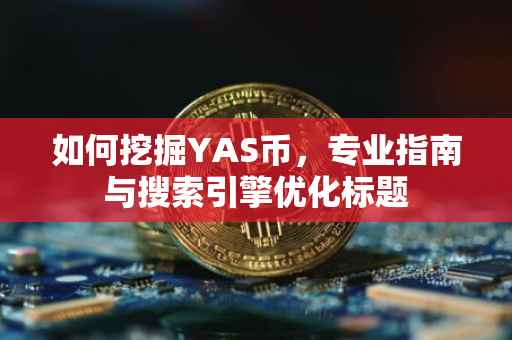 如何挖掘YAS币，专业指南与搜索引擎优化标题