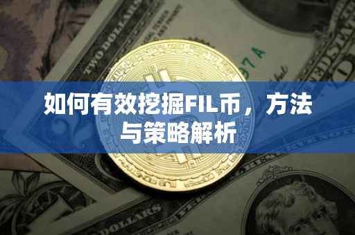如何有效挖掘FIL币，方法与策略解析