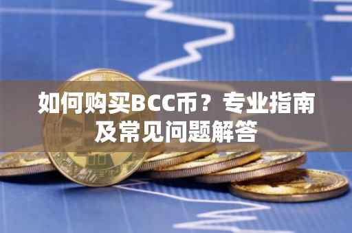 如何购买BCC币？专业指南及常见问题解答