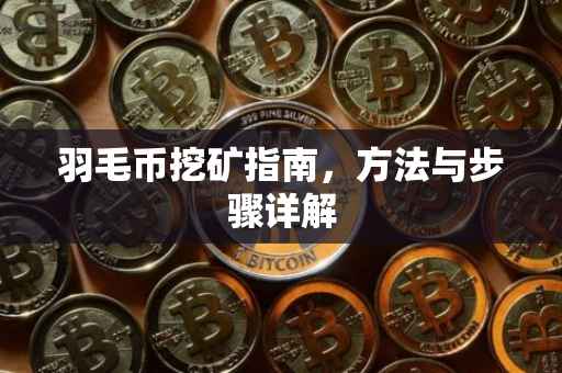 羽毛币挖矿指南,方法与步骤详解