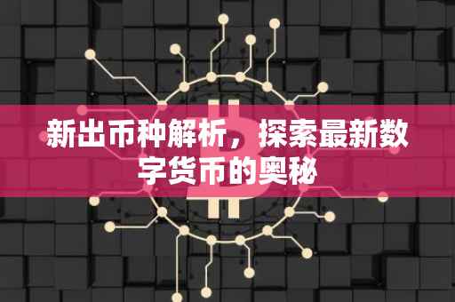 新出币种解析，探索最新数字货币的奥秘