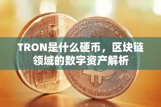 TRON是什么硬币，区块链领域的数字资产解析