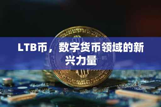 LTB币，数字货币领域的新兴力量