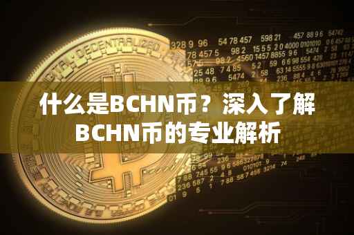 什么是BCHN币?深入了解BCHN币的专业解析