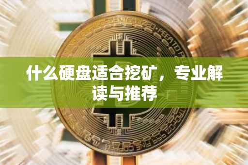 什么硬盘适合挖矿，专业解读与推荐