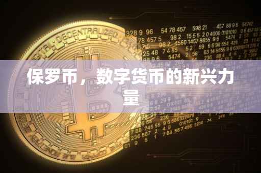 保罗币,数字货币的新兴力量