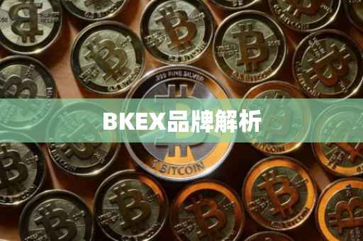 BKEX品牌解析