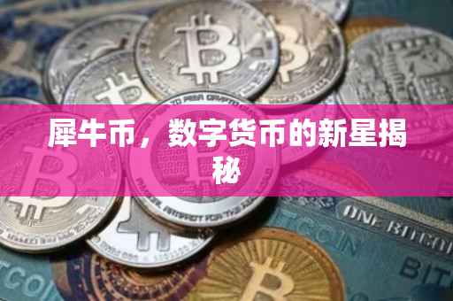 犀牛币，数字货币的新星揭秘