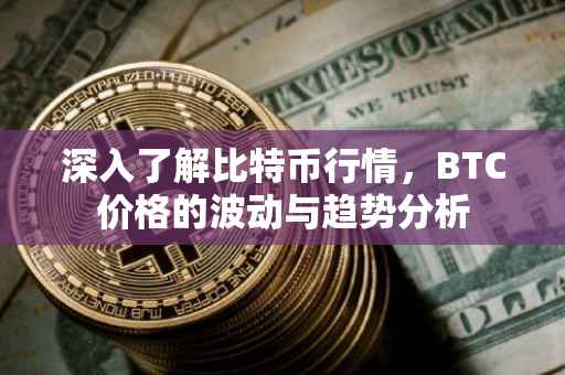 深入了解比特币行情，BTC价格的波动与趋势分析