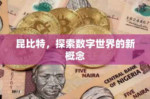昆比特，探索数字世界的新概念