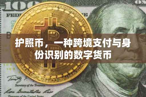 护照币，一种跨境支付与身份识别的数字货币