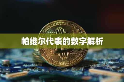 帕维尔代表的数字解析