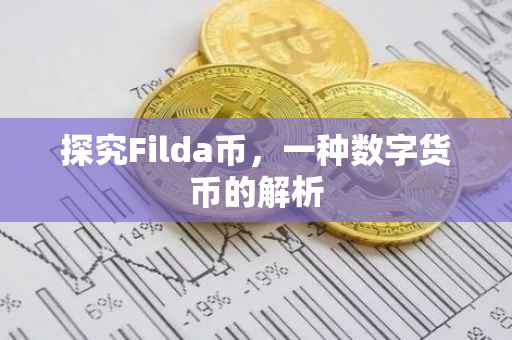 探究Filda币，一种数字货币的解析