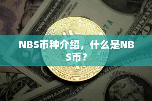 NBS币种介绍，什么是NBS币？