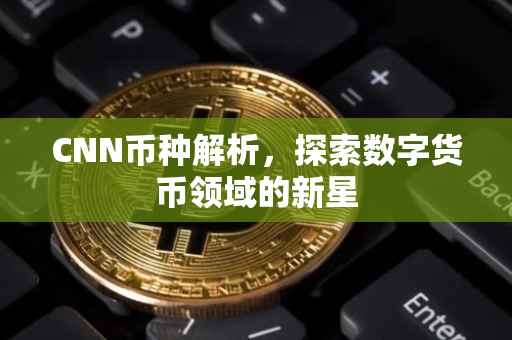 CNN币种解析，探索数字货币领域的新星