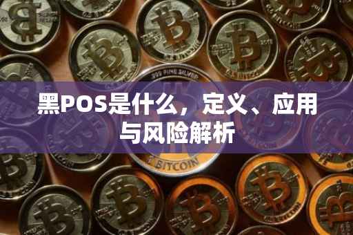 黑POS是什么，定义、应用与风险解析