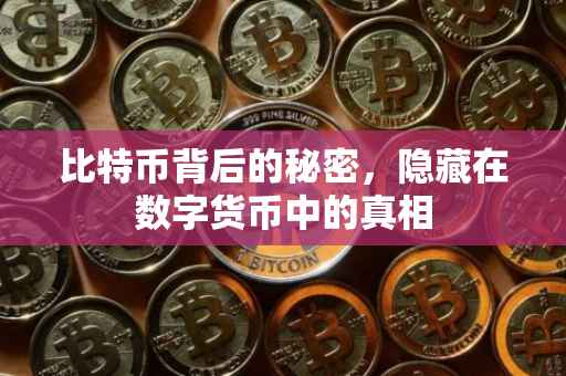 比特币背后的秘密,隐藏在数字货币中的真相