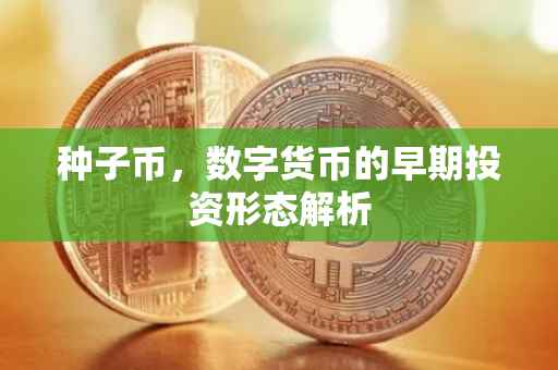 种子币，数字货币的早期投资形态解析