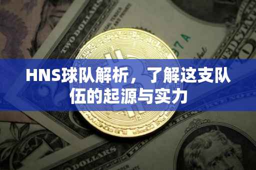 HNS球队解析，了解这支队伍的起源与实力