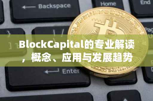 BlockCapital的专业解读，概念、应用与发展趋势
