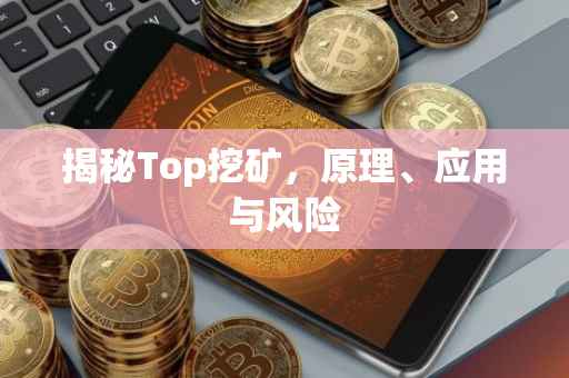 揭秘Top挖矿，原理、应用与风险