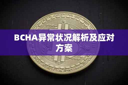 BCHA异常状况解析及应对方案