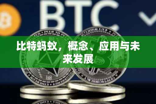 比特蚂蚁，概念、应用与未来发展