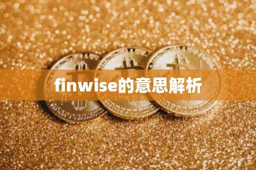 finwise的意思解析