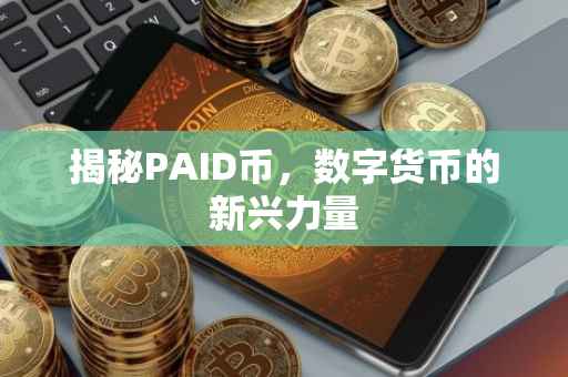 揭秘PAID币，数字货币的新兴力量