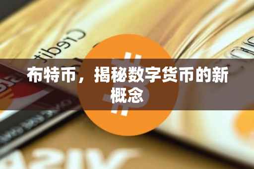 布特币，揭秘数字货币的新概念