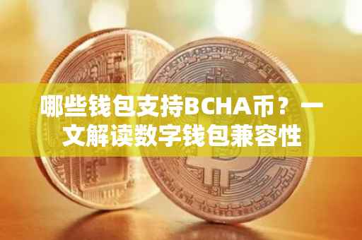 哪些钱包支持BCHA币？一文解读数字钱包兼容性