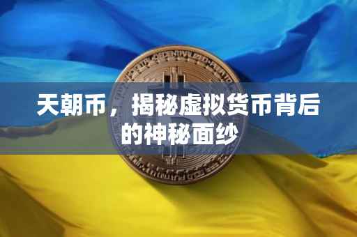 天朝币，揭秘虚拟货币背后的神秘面纱