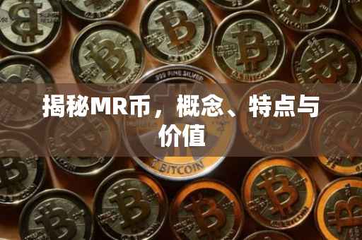揭秘MR币，概念、特点与价值