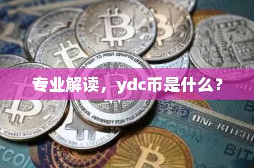 专业解读，ydc币是什么？