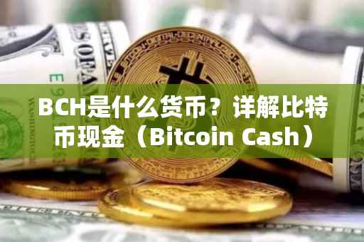 BCH是什么货币？详解比特币现金（Bitcoin Cash）