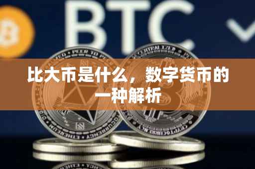 比大币是什么，数字货币的一种解析