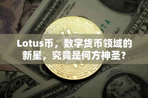 Lotus币，数字货币领域的新星，究竟是何方神圣？