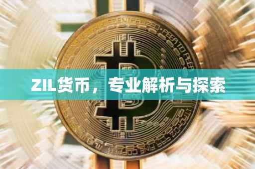 ZIL货币，专业解析与探索