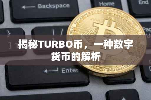 揭秘TURBO币，一种数字货币的解析