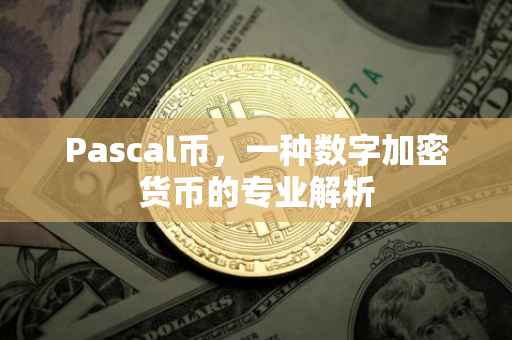 Pascal币,一种数字加密货币的专业解析