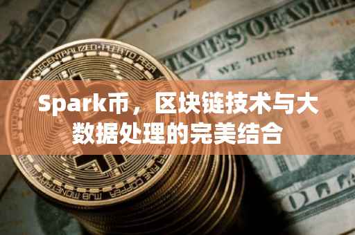 Spark币，区块链技术与大数据处理的完美结合