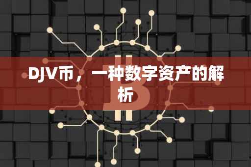 DJV币，一种数字资产的解析