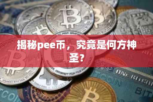 揭秘pee币，究竟是何方神圣？